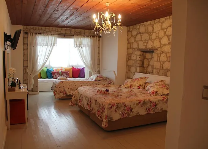 Begonvil אלאקאטי