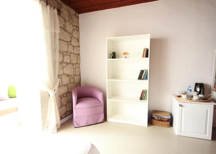 Begonvil אלאקאטי