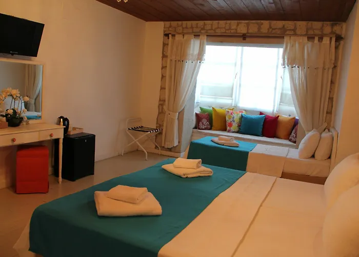 Begonvil 2* אלאקאטי