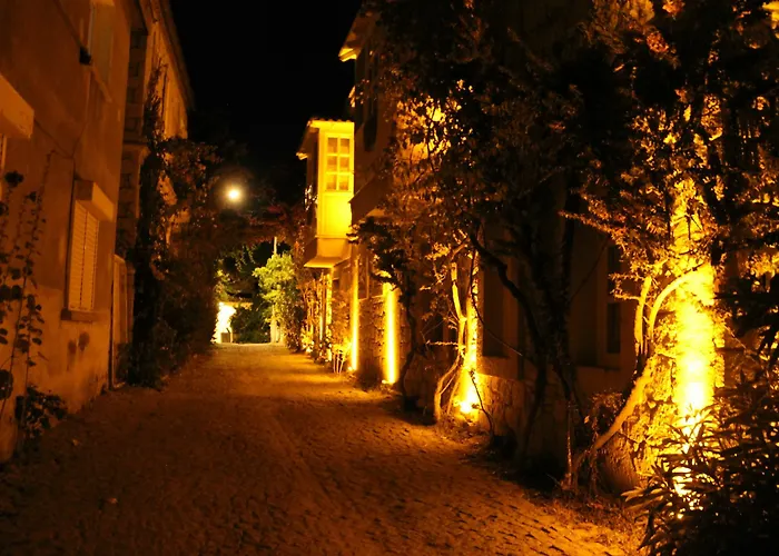 Begonvil ألاتشاتي